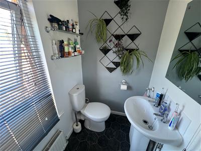 Picture 12